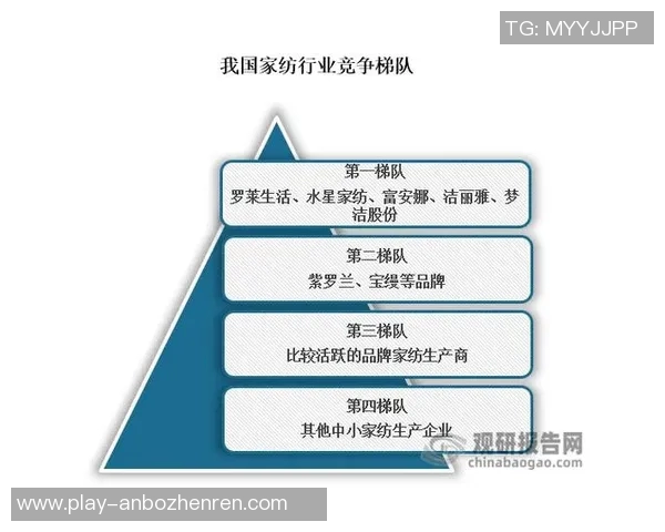 赖斯的外交策略与全球影响力分析探讨